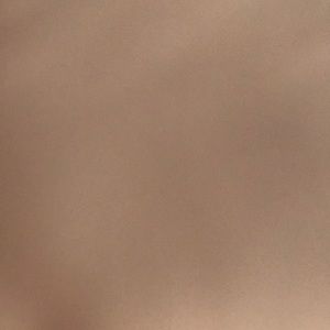 Meet your Posher, Bella